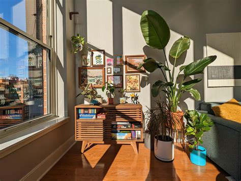 10000 Best NJ Images On Pholder Abandoned Porn Newjersey And Birding