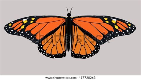 Monarch Butterfly Clip Art Stock Illustration 417728263 Shutterstock