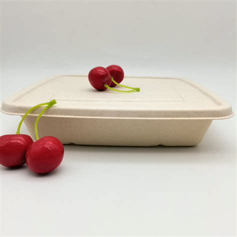 100 Biodegradable Sugarcane Pulp Square Tray With Lid China