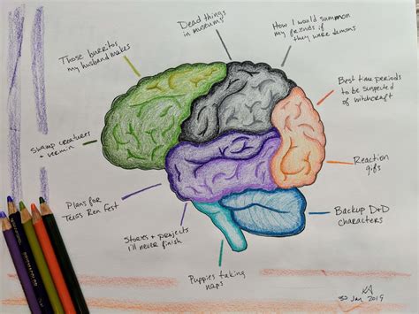 Brain Contents Skillshare Student Project