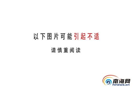 【姜飞调查】海口餐厨废弃物养猪成行业公开秘密 规定成一纸空文手机凤凰网