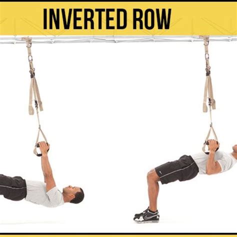 Trx Inverted Row20 Reps Exercise How To Workout Trainer By Skimble