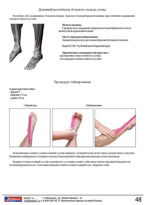 Руководство по кинезио тейпированию - презентация онлайн