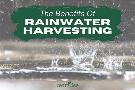 The Benefits Of Rainwater Harvesting - Castagra