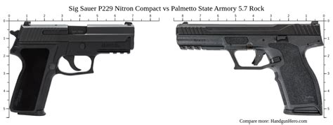 Sig Sauer P Nitron Compact Vs Palmetto State Armory Rock Size