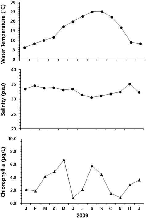 Seasonal Variations In Water Temperature Salinity And Chlorophyll A Download Scientific