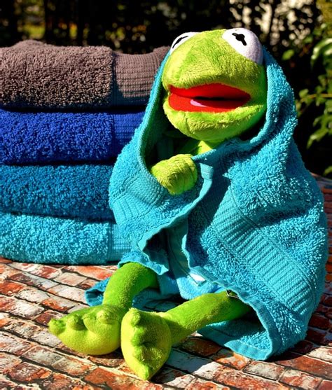 Kermit Towels Blue - Free photo on Pixabay
