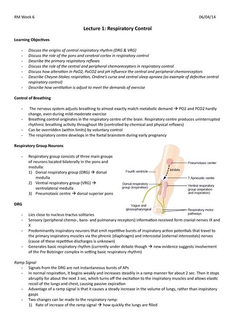 RM Week 6 Notes RM Week 6 06 04 14 Lecture 1 Respiratory Control