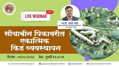 सोयाबीन पिकावरील एकात्मिक कीड व्यवस्थापन कृषी विभाग महाराष्ट्र शासन Webinar सोयाबीन