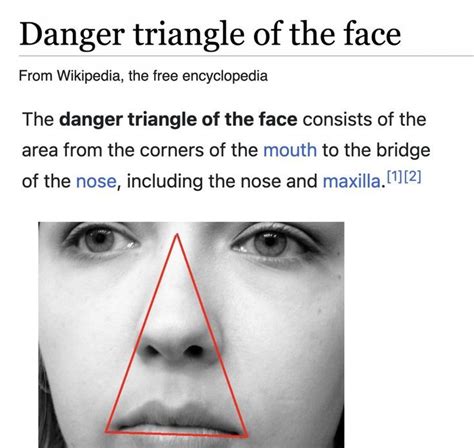 Danger Triangle Of The Face Nose Body Skin Care Routine Sinusitis