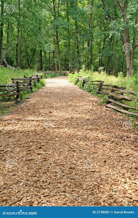 Wood Chip Trail Stock Image Image Of Forest Leaves Pine 2738081