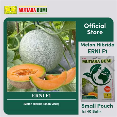 Jual BENIH MELON HIBRIDA ERNI F1 SMALL POUCH ISI 40 BUTIR CAP MUTIARA