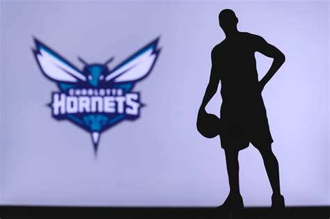 LaMelo Ball Net Worth - The Scorching Point