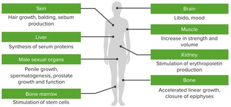 Androgen Insensitivity Syndrome Ais — Symptoms And Treatment