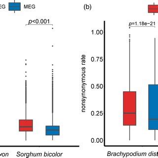 Comparison Of Base Composition Of Coding Sequences Of Single Exon Genes