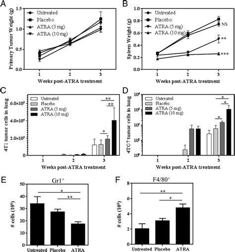 Atra Promotes Lung Metastasis In 4t1 And 4to7 Tumor Models A Primary