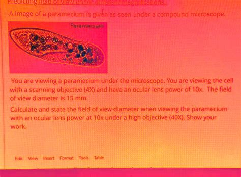 SOLVED: Texts: An image of a paramecium is given as seen under a ...