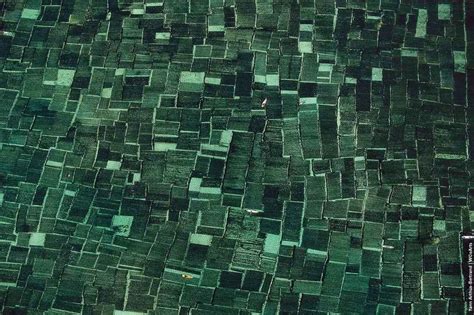 55 Aerial Photographs By French Artist Yann Arthus-Bertrand