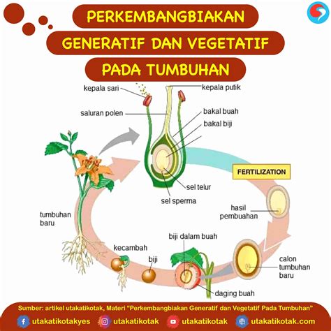 Perkembangbiakan Generatif Dan Vegetatif Pada Tumbuhan Riset