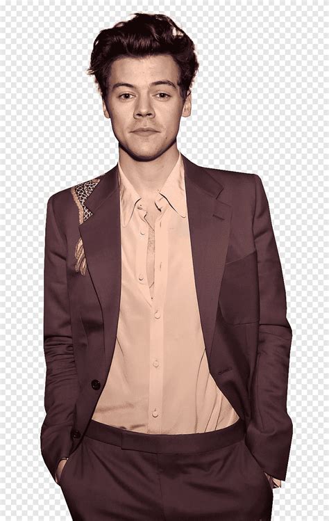 Harry Styles Png Pngegg