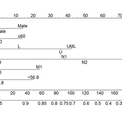 Nomogram Of The Validation Set Download Scientific Diagram