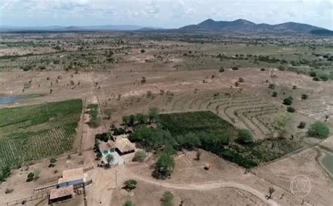 Globo Rural Exibe Reportagem Sobre Projeto Adapta Sert O Destaque