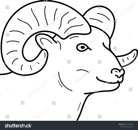 Bighorn Sheep Drawing