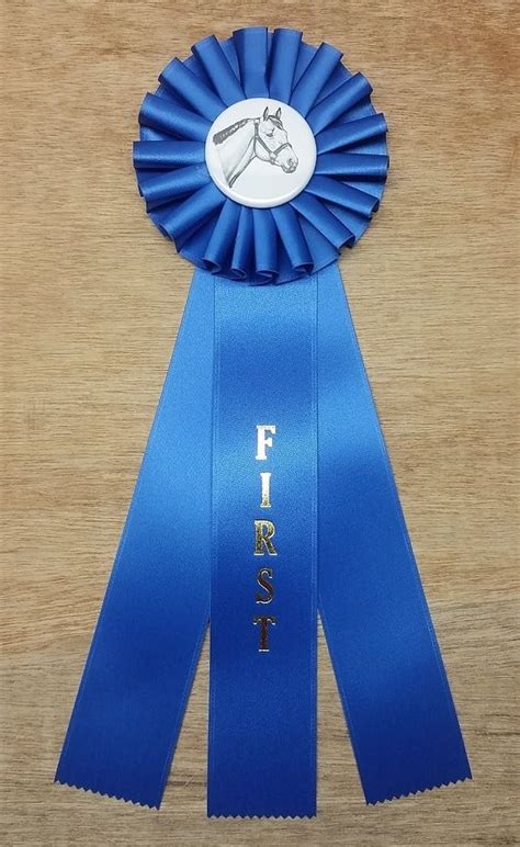 Quick Ship Horse Show Rosette Ribbons 1st 6th Place Mclaughlin