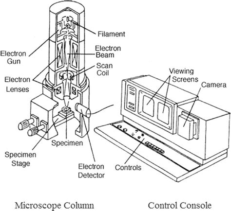 Scanning Electron Microscope Parts