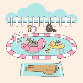 New Pusheen Image Stormy And Pip Amino Amino