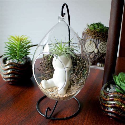 Black Metal Stand For Terrarium Or Air Plant Stand Hanger For Terrariums Air Plant Hanger Metal