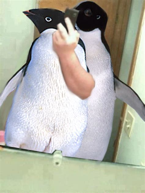 Gay Penguins By Steeboh On DeviantArt