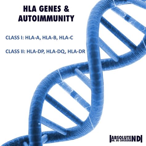 Genetic Susceptibilities Of Autoimmune Disease Dr Johann De Chickera Nd