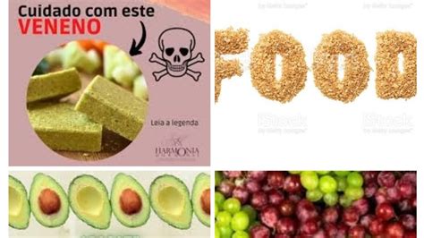 248 FOOD S ABACATE BOM PARA QUEM TEM FIBROMIALGIA DIABETES