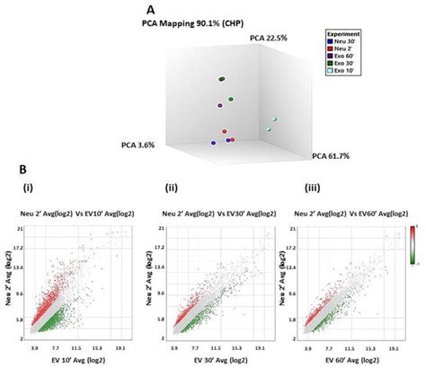 Transcriptomic Analysis Of Ctc Evs Incubated With Neutrophils A Download Scientific Diagram