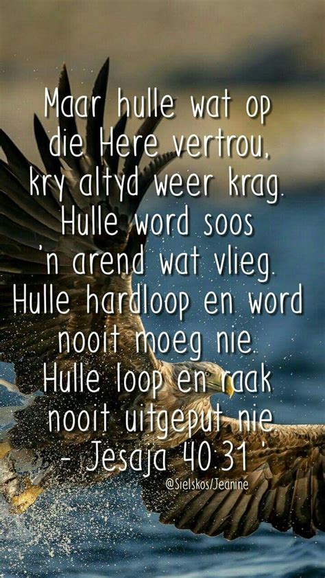 Afrikaanse Bybel Verse