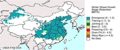 China Wheat Status