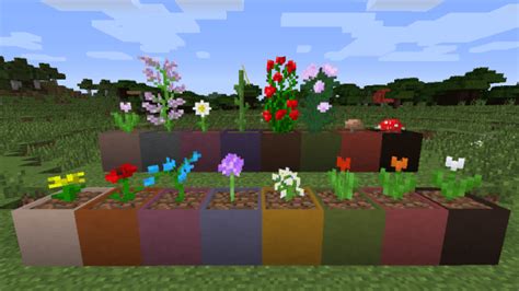 Useful Minecraft Flowers List And Where To Find Them