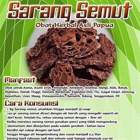 Jual Sarang Semut Asli Papua Kemasan 500gr SarMut Original Papua