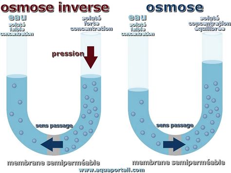 Osmose inverse définition et explications