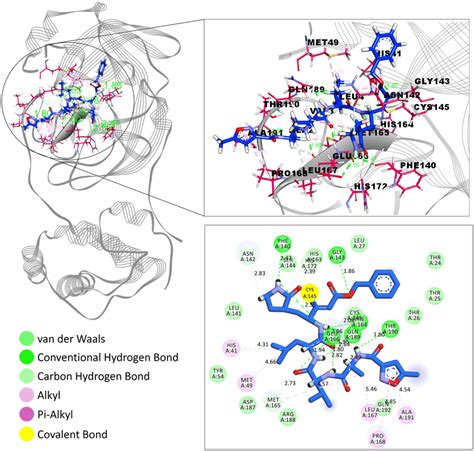 Interaction Of N In The Binding Cleft Of Sars Cov Mpro Pdb Id