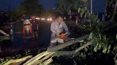 Badai 20 Menit Di Kota Kendari 3 Warga Tewas Tertimpa Pohon Dan