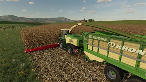 FS 22 UMRV Black Acres Farm 17 Chaffing Corn For Silage