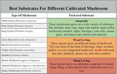 Mushroom Substrates In Depth Guide To Mushroom Substrates