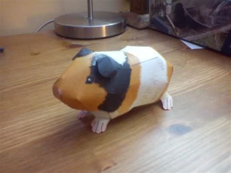 Papercraft Guinea Pig By Cavyman Guinea Pigs Paper Crafts Pig