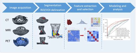 Typical Radiomics Workflow Download Scientific Diagram