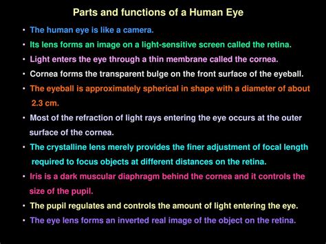 Human Eye Parts And Their Function