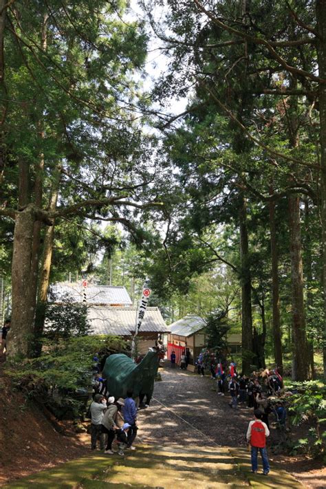 三滝神社春祭り八つ鹿踊り、愛媛県西予市城川1 大本写真事務所