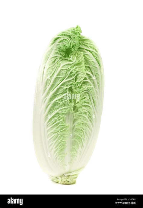 cabbage chinese structure cabbage  res stock photography  images