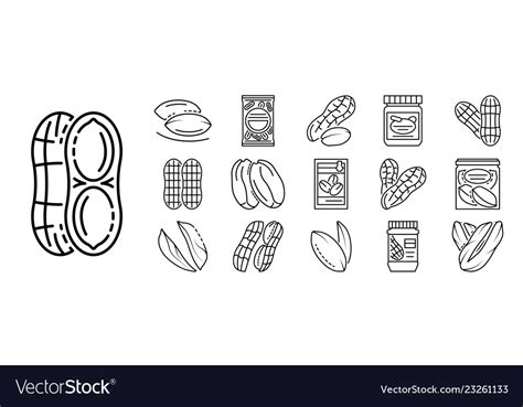 Peanut Icon Set Outline Style Royalty Free Vector Image